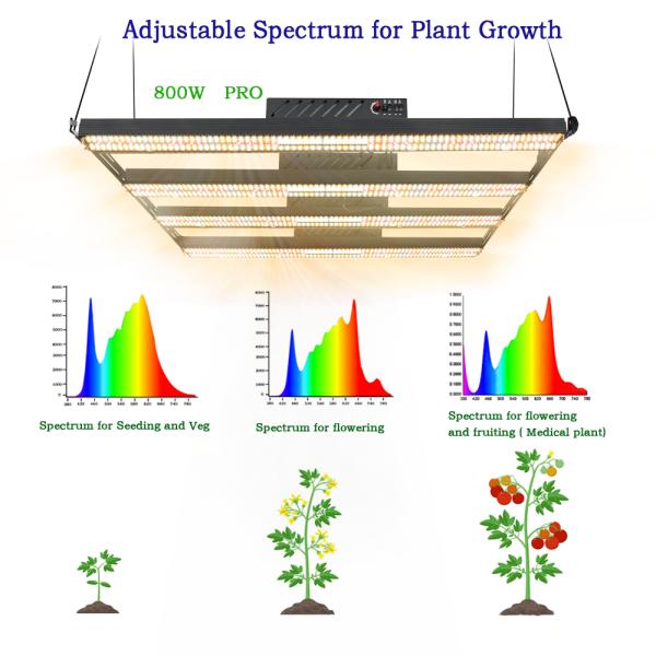 2080umol/s 5x5ft LM301H LED Grow Light 660nm 800w SAA Full Spectrum