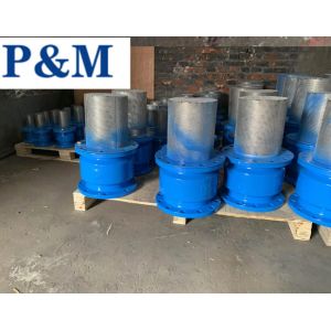 DN100 PN16 GGG50 cast iron flanged foot valve