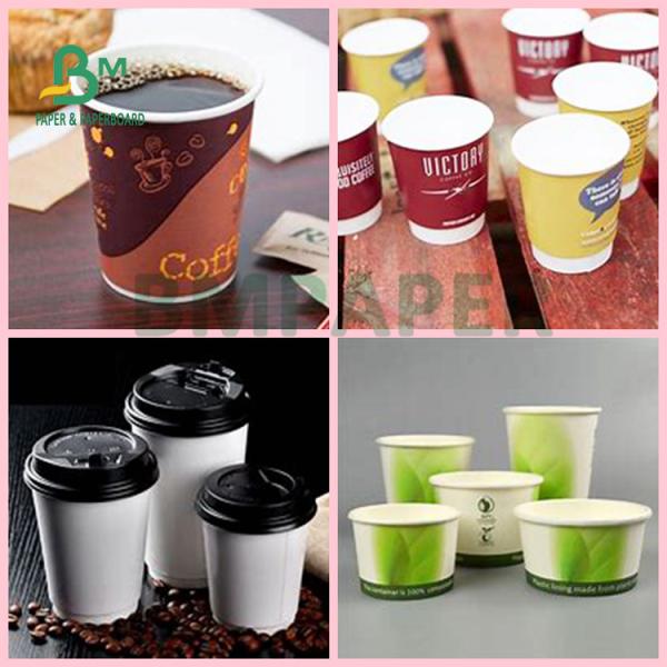 230gsm + 18gsm Safe No - Smell Cup Stock Specialty Paper For Noodel Bowls 230gsm + 18gsm Safe No - Smell Cup Stock Specialty Paper For Noodel Bowls