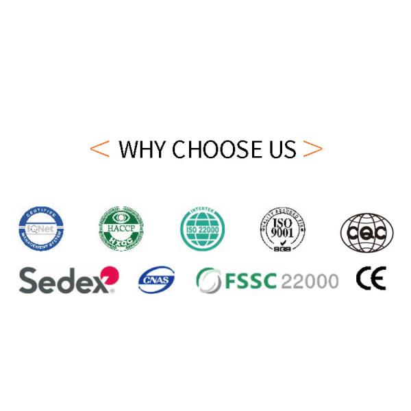 Stainless Steel Auto Multifunction Ice Cream Cone Maker Machine 55 Baking Templates