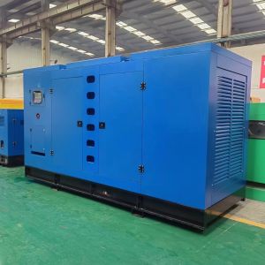 250kw 3 Phase Diesel Generator with Cummins Engine Super Silent Type CE/ISO