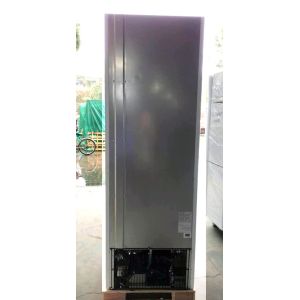 Single Glass Ice Cream Upright Display Freezer With LED Canopy And Embraco