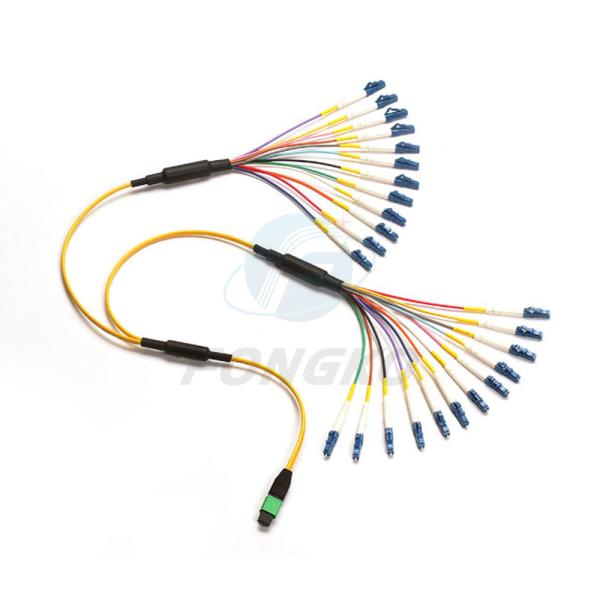 LC UPC Fiber Optic Fanout Pigtail Patch Cord Cable APC MPO 24 Core