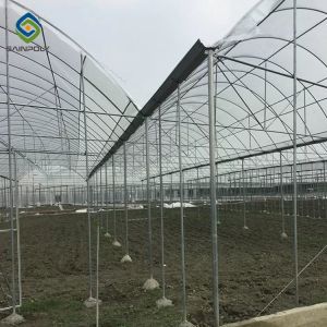 Sprinkler Irrigation 9m Agricultural Multi Span Greenhouse