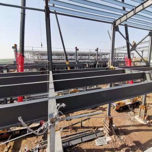 Weather-Resistant Steel Structure Factory Building