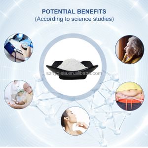 97% Pure Nicotinimide Riboside Chloride Food Grade NR Powder CAS 23111-00-4