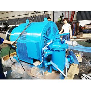 Customized 50HZ/60HZ Hydro Turbine Generator with Durability and Essential