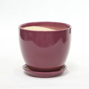 Indoor Ceramic Pots For Your Planting Needs Wide Selection Available