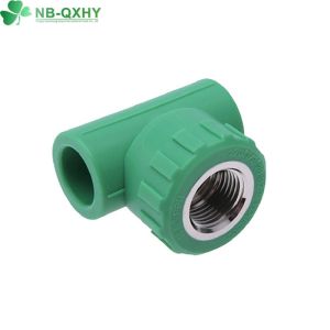 Thread/Socket Connection Type PPR Plastic Pipe Fitting for Hot and Cold Water