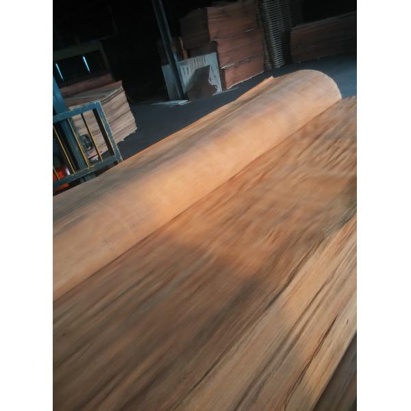 Buy PLB veneer at wholesale prices