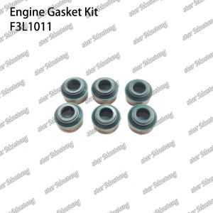 Full Gasket Kit F3L1011 Engine Part