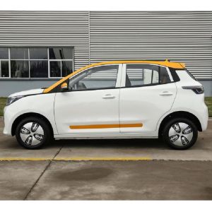 Lastest Model Letin Mengo High Speed Electric Car with multimedia panel