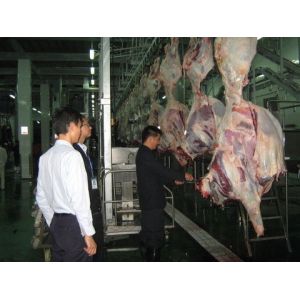 Beef Split Meat Production Line / Processing Line 100-300 Cattle Per Hour Speed