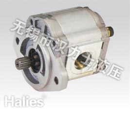 Buy Hydraulic Gear Pump HPV116 at wholesale prices