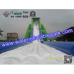 Giant Inflatable Water Slide For Adult , Hippo Inflatable Slide In Amusement