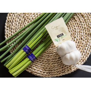 HACCP Fresh Garlic Bolt