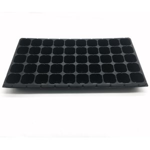 50 Cavity Transplanting Nontoxic Seed Germination Tray With Lid