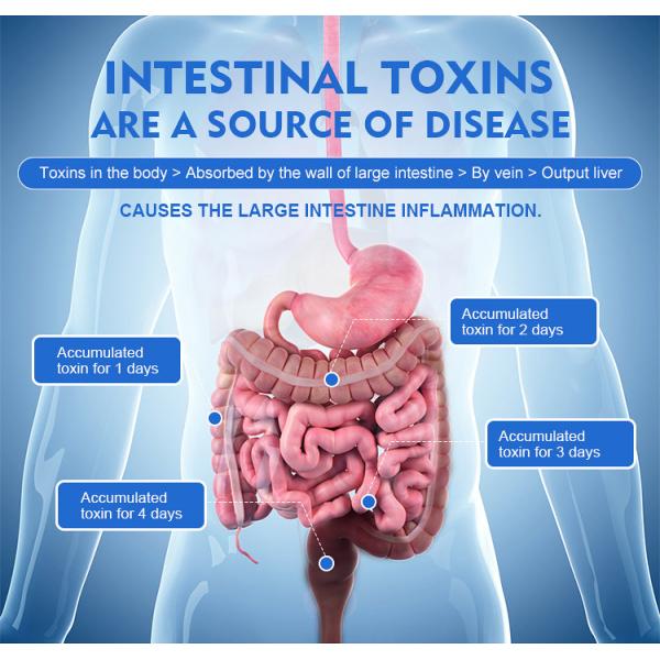 Detox Digestive Aid Colonic Irrigation Machine , Hydrotherapy Body Sculpture