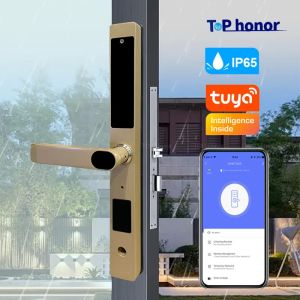 Black Bridge Cut Biometric Front Door Lock Card Code Key Access Waterproof