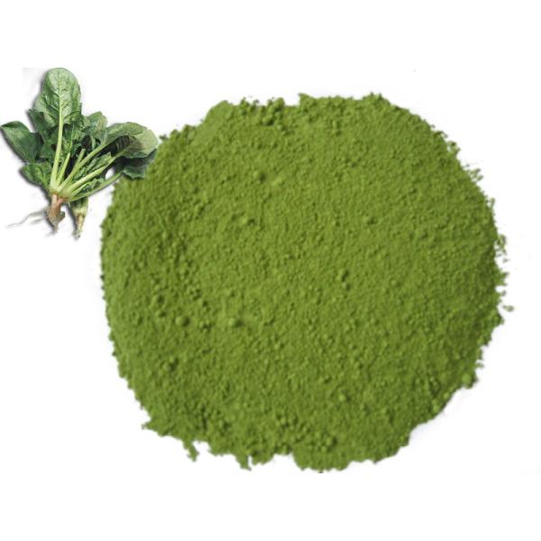 Buy Sell Freeze Dried Spinach Powder Natural Additives at wholesale prices