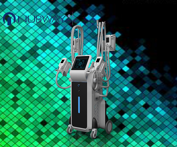 Buy latest cool sculpting 4 cryo handles fat removal machine at wholesale prices