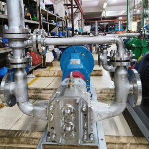 316SS Titanium Dioxide Wastewater Lobe Pumps With Safety Valve