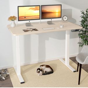China 2 Stage Height Adjustable Office Computer Desk with Dual Motor Wooden Workbench Table on sale