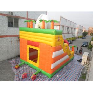 Virgin Forest Inflatable Slide (CYSL-17)