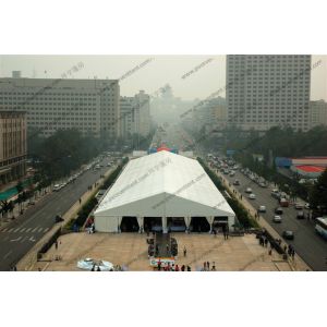 Clear PVC Windows Huge Exhibition Dome Tent