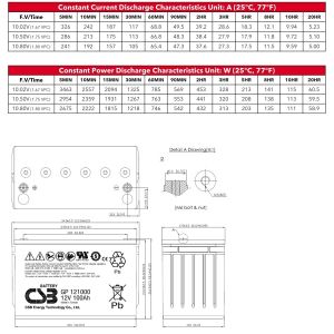 CSB Battery GP121000 12V 100Ah High Performance Rechargeable Maintenance-Free
