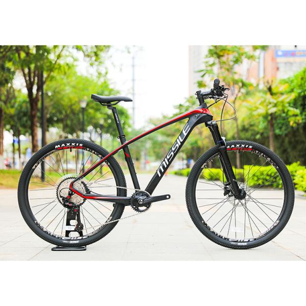 24 Inch Mountain Bike with PROWHEEL PMX 36T Chainring and Aluminum Alloy Rim Material
