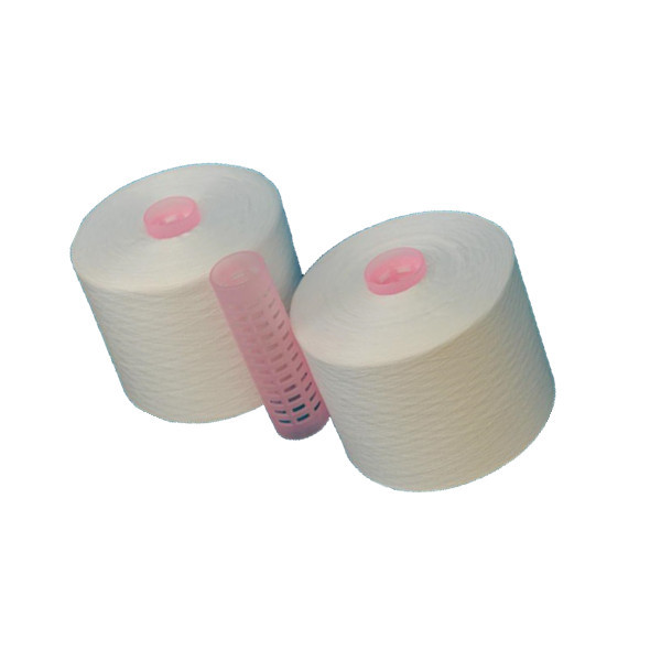 Raw White 100% Polyester Ring Spun Yarn Factory Machine Sewing Yarn 30/2, 30/3,