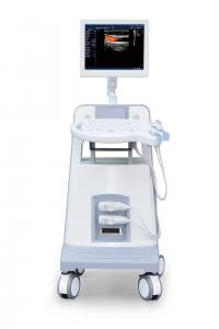 China Entry Level Trolley Color Doppler Ultrasound Ultrasonic Diagnostic Instrument 500GB on sale