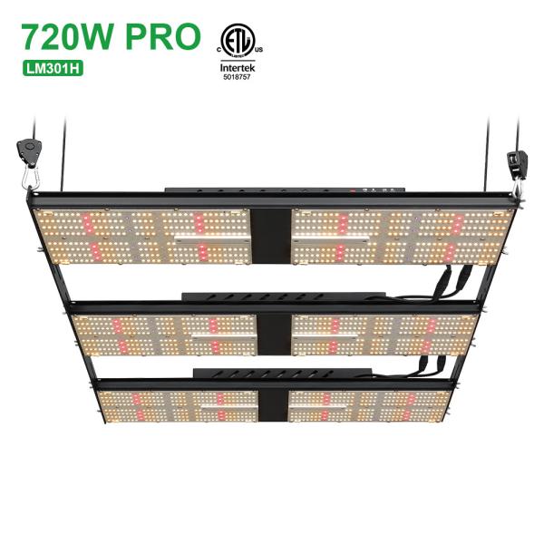 SAA Hydroponic LM301H Seoul 385nm 720W LED Grow Light For Indoor Plants