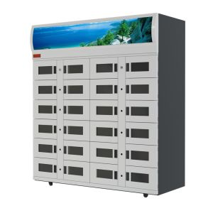 Automatic 24 Hours Cooling Vending Locker Cabinets Refrigerated Eggs Fruit