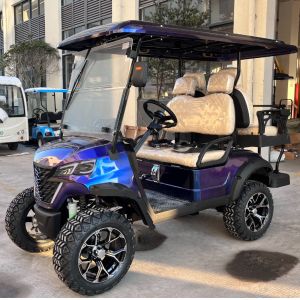 Eco-Friendly Golf Buggy With Cutting-Edge Technology Featuring A Powerful 3.5KW