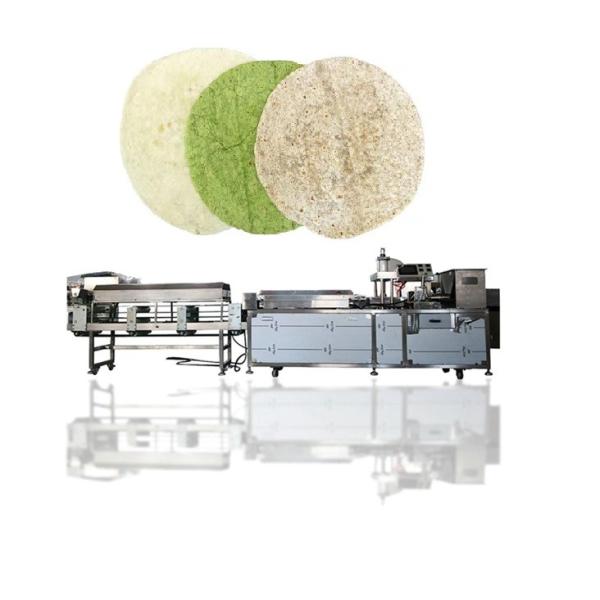 Buy Automatic 10cm - 30cm Dia Tortilla Making Machine Round Shape at wholesale prices