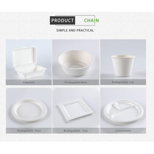 Eco-Friendly 100% Compostable Sugarcane/Bagasse Heavy Duty container