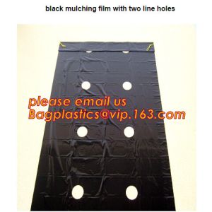 plastic tomatoes home garden polytunnel greenhouse film,Film Covering Tomato