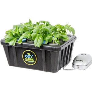 Root Growing Cloning Collar Inserts PE Hydroponic Foam