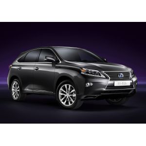 Safe 2010 Lexus RX450H Hybrid Car Battery Replacement 288 Volt Customized Color