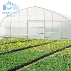 Plastic Tunnel Strawberries Agricultural Farm Tunnel Plastic Greenhouse With