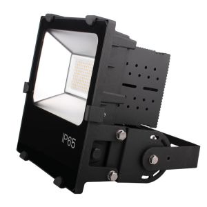 120W Massive Fins Aluminum LED Flood Light
