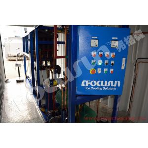 Video Outgoing-Inspection Provided Directly Sold by Manufacturers 1T Block Ice