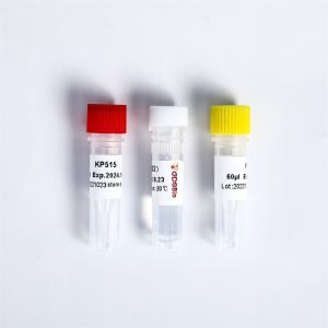 Universal Adapter I5 And I7 PCR Primers Multiplex Oligos 2 For Illumina