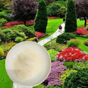 Quality Drip Irrigation Agricultural Fertilizer Of Compound Amino Acid Powder 52% for sale