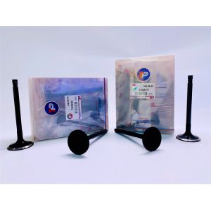 T4233393 Intake And Exhaust Valves