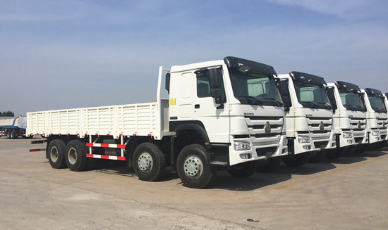 Buy Manual Transmission Howo Cargo Truck 8x4 Euro 2 Emission 371hp Engine ZZ1317N3867A at wholesale prices
