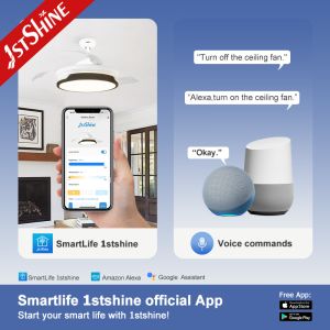 220V 3 Plastic Blades AC Motor Retractable Ceiling Fan With Side Light