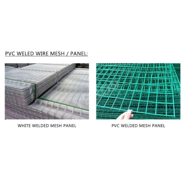 Iron 3*3 welded Welded Wire Mesh rolls pvc coated welded wire mesh farm fence